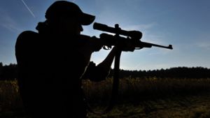 Killerkommando Wildsau: Bauer fordert Eingreiftruppe für Jagd