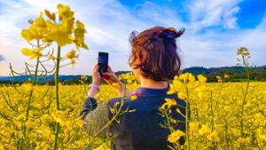Problem für Bauern: Verbotene Selfies im Rapsfeld