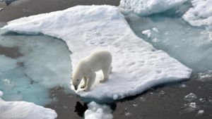 Eisfläche der Arktis dramatisch geschrumpft