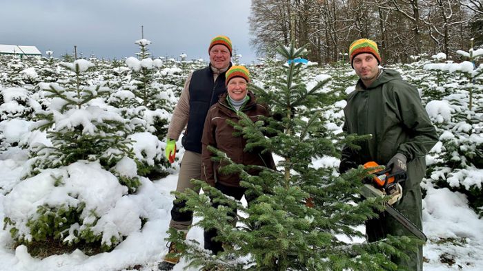 Weihnachten im Coburger Land: Hier kommt der Baum direkt vom Feld