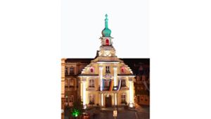 Kulmbach will das Landesmuseum - Stadt bewirbt sich als einzige Kommune in Oberfranken