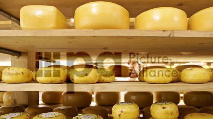 Listerien-Verdacht: Käse-Rückruf