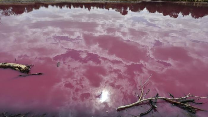 See in pink - Gewässer in Melbourne zieht Touristen an