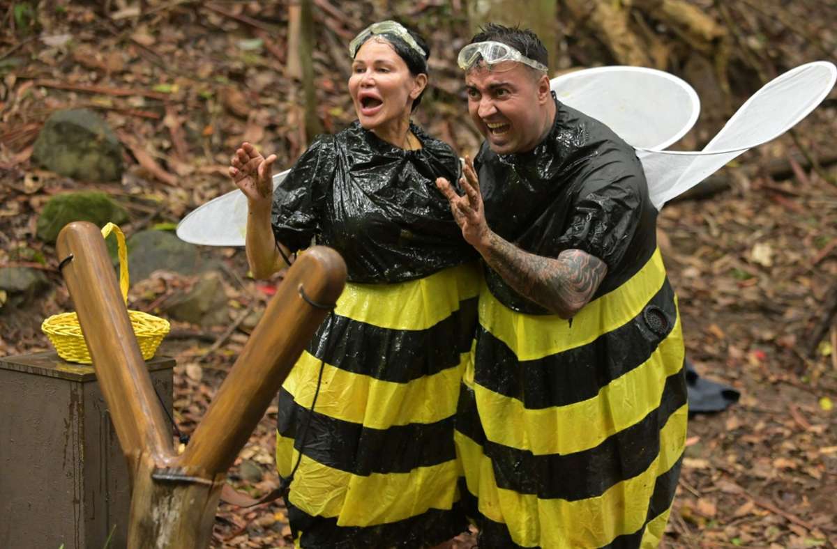 Beim Bienenspiel trumpfen Djamila Rowe und Cosimo Citiolo auf – doch die Schleimschlacht im Dschungelcamp  wird nicht belohnt.