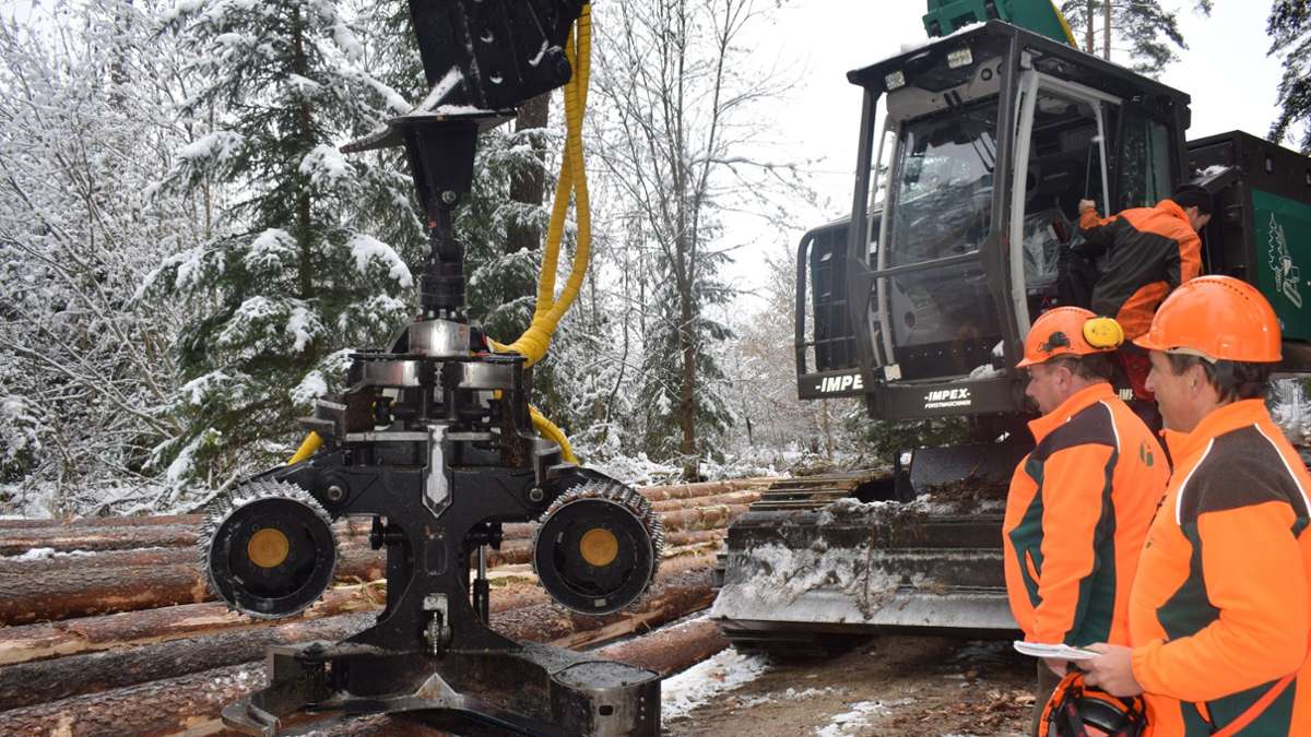 Forstbetrieb Pegnitz: Jetzt müssen schwere Maschinen in den Wald