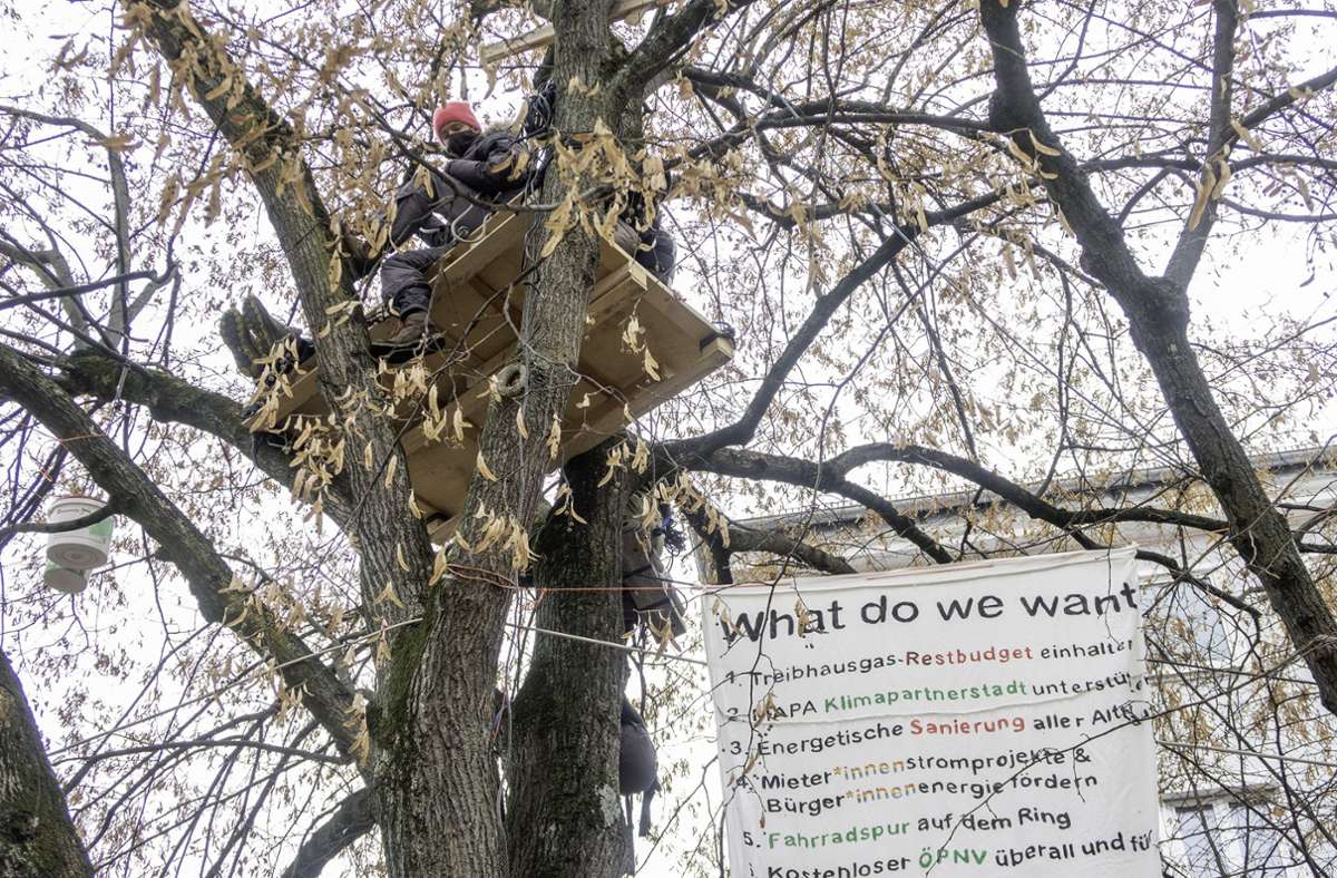 Um ihren Forderungen Nachdruck zu verleihen, und um weithin sichtbar zu sein, haben sich Klimaaktivisten in einem Baum unweit des Rathauses postiert.