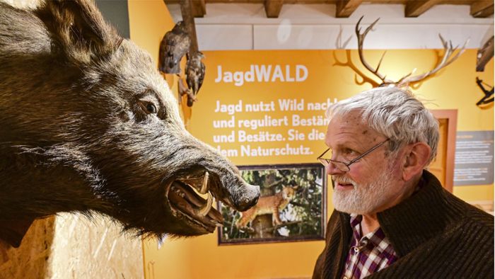 Museum erzählt:: Die unendliche Geschichte vom Wald