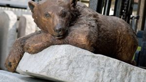 Erinnerung an Knut: Bronze-Statue im Zoo Berlin