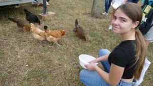 Erlebnis Bauernhof: Wo die glücklichen Hühner gackern