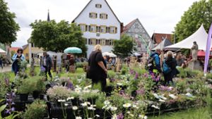 Kunst- und Rosentage: Einkaufs-Spaß für Garten-Liebhaber