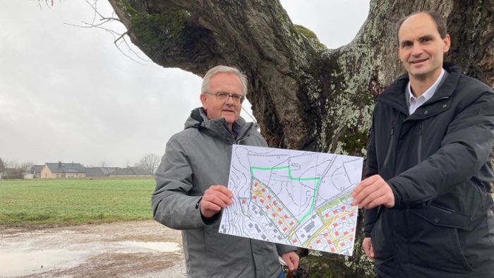 Bauboom in Hollfeld: Bald stehen mehr als 80 Parzellen zur Auswahl