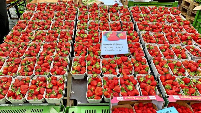 Start der Erdbeer-Saison: Warum regionale  Produkte besser sind