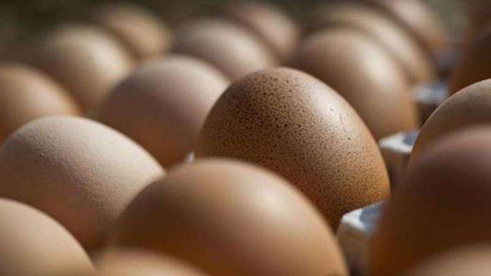 Neudrossenfeld: Ei gegen Fensterscheibe