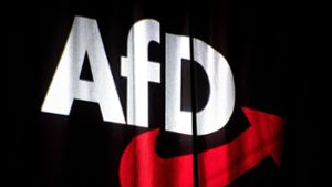 Kommentar: Der Abstieg der AfD