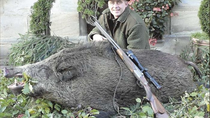 Jäger erlegt in Lochau ein 195 Kilogramm schweres Riesenwildschwein