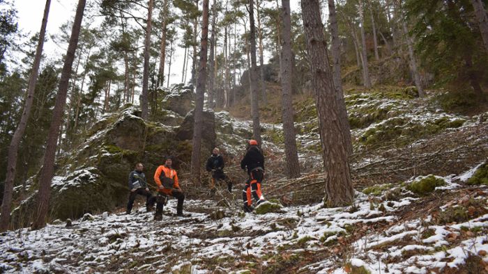 Berufskletterer in Waischenfeld: Entbuschung in schwierigem Gelände