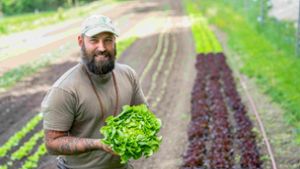 Lieferdienst: Bio-Gemüse frei Haus