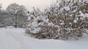 Winter hat Oberfranken fest im Griff