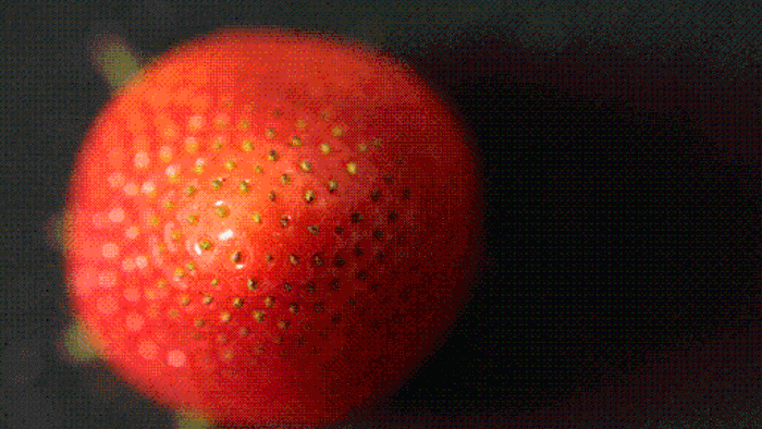 Rezepte unserer Leser: Erdbeer-Sekt-Konfitüre