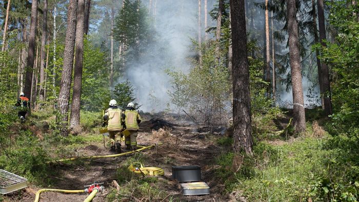 Waldbrand bei Schamelsberg: Glimpflich dank früher Meldung