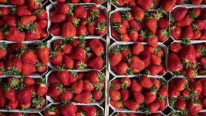 Erdbeeren werden dieses Jahr etwas teurer