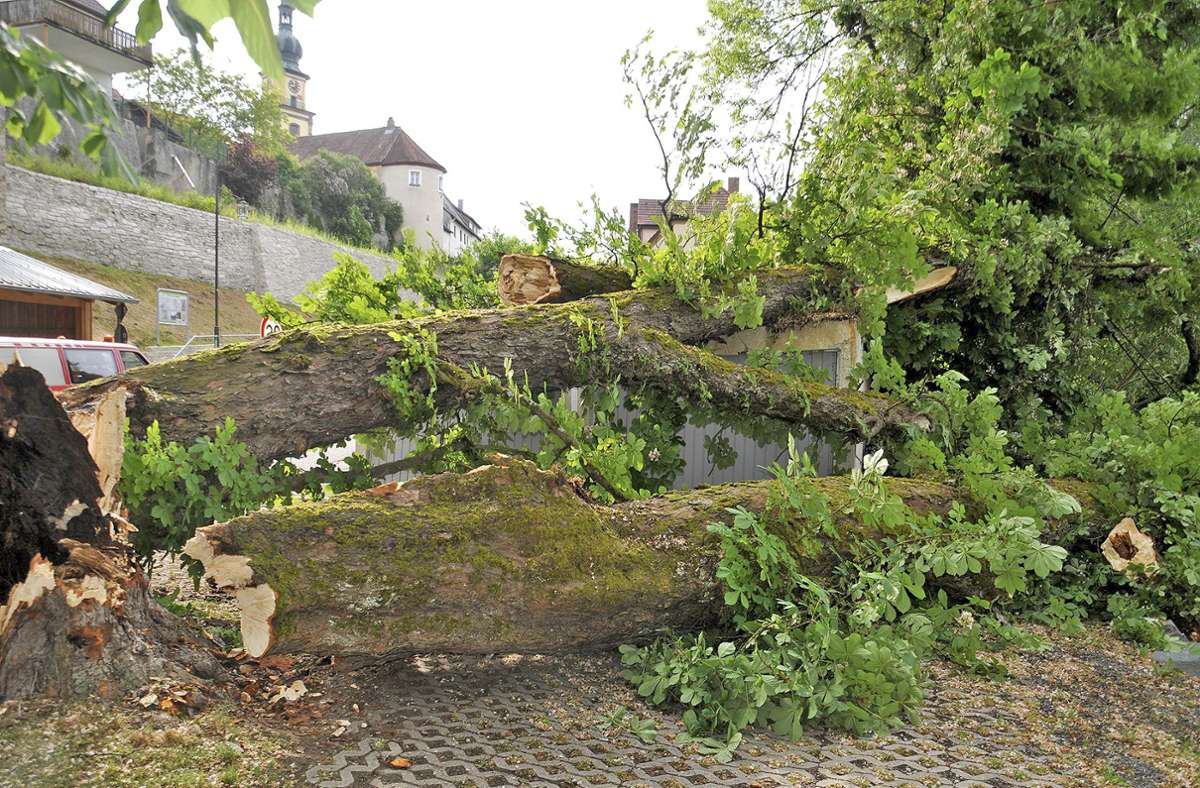 Die alte Kastanie hat eine Doppelgarage unter sich begraben (oben) und   das Geländer am Leitenbach schwer beschädigt, viel Arbeit für die Mitarbeiter des  Stadtsteinacher Bauhofs (rechts).