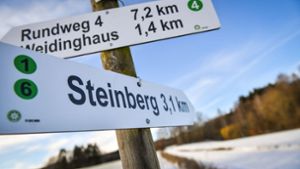 BN schlägt Alarm: Wird der Steinberg wieder Windrad-Standort?